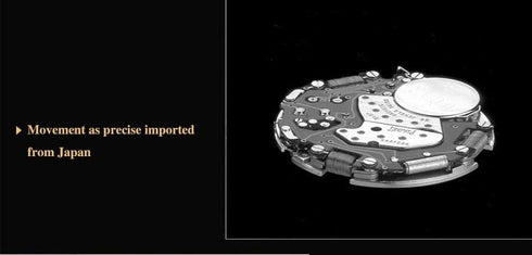 Curren Blue & Steel Attack - 1 Year Warranty!