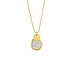 Sea Shell Necklace! - 18K Genuine Gold Plated over Pure Stainless Steel! - Chic Design! - Free Box Packaging!