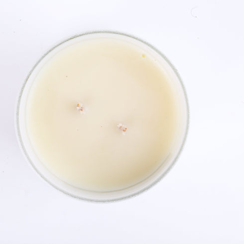 Wild Blueberry - Blueberry Scented Candle - Double Wick - Free Shook Carry Bag