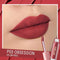 Pinkflash - Melting Matte Lipcream Obsession - Original & Imported