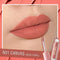 Pinkflash - Melting Matte Lipcream N01 - Original & Imported