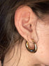 Italiano Earrings - 18K Genuine Gold Plated over Pure Stainless Steel - Non Tarnish - Chic Design! - Free Box Packaging!
