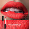 Focallure - Professional Matte Waterproof Liquid Lipstick No.1 - Original & Imported